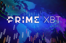 Discovering Opportunities with Broker PrimeXBT
