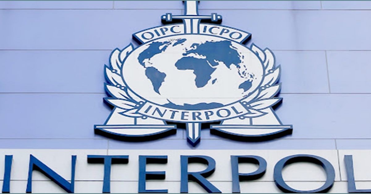 Interpol Arrest Statistics by Country An Analytical Overview