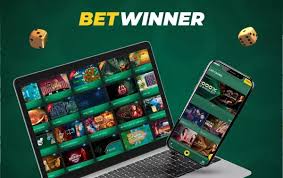 BetWinner Sportsbook Your Guide to Winning with Sports Betting